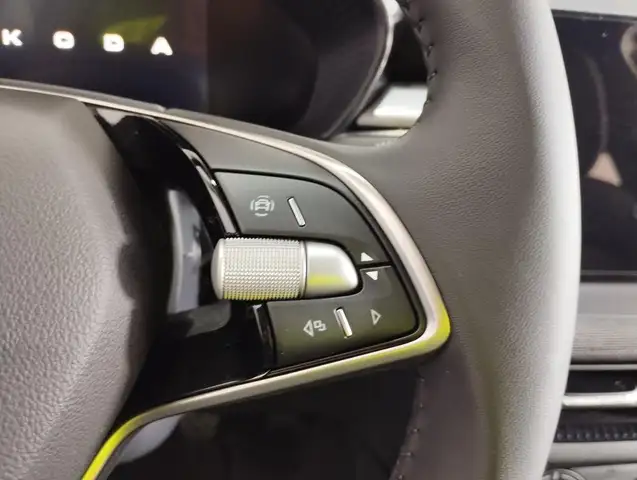 Skoda Fabia view 16