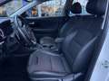Kia Niro 1.6 GDi Hybrid DynamicLine | CarPlay | Camera | Na Weiß - thumbnail 12