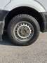 Mercedes-Benz Sprinter 313 CDI Furgone Passo Medio Isotermico Frigo Bianco - thumbnail 13