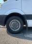 Mercedes-Benz Sprinter 313 CDI Furgone Passo Medio Isotermico Frigo Bianco - thumbnail 14