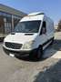 Mercedes-Benz Sprinter 313 CDI Furgone Passo Medio Isotermico Frigo Bianco - thumbnail 8