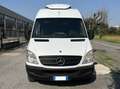 Mercedes-Benz Sprinter 313 CDI Furgone Passo Medio Isotermico Frigo Bianco - thumbnail 9