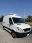 Mercedes-Benz Sprinter 313 CDI Furgone Passo Medio Isotermico Frigo Bianco - thumbnail 1