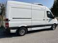 Mercedes-Benz Sprinter 313 CDI Furgone Passo Medio Isotermico Frigo Bianco - thumbnail 3