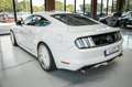 Ford Mustang GT 5,0 1 HAND UNFALLFREI Weiß - thumbnail 4