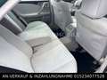 Mercedes-Benz E 200 KOMPRESSOR*KLIMA*FACELIFT* Verde - thumbnail 13