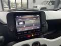 Fiat Panda Pandina III 2024 Pandina 1.0 firefly hybrid Icon s Verde - thumbnail 10