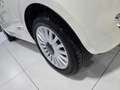 Fiat 500 1.3 MJT 75CV LOUNGE **OK NEOPATENTATI** Bianco - thumbnail 7