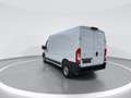 Toyota Proace Max 2.2-l-D 35 L3H2 Heavy Meister/sofort!/ATM/Rückf.ka Weiß - thumbnail 6