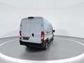 Toyota Proace Max 2.2-l-D 35 L3H2 Heavy Meister/sofort!/ATM/Rückf.ka Weiß - thumbnail 7