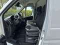 Toyota Proace Max 2.2-l-D 35 L3H2 Heavy Meister/sofort!/ATM/Rückf.ka Weiß - thumbnail 14
