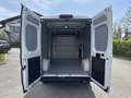 Toyota Proace Max 2.2-l-D 35 L3H2 Heavy Meister/sofort!/ATM/Rückf.ka Wit - thumbnail 10