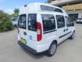 Fiat Doblo Doblò 1.3MJ  TRASPORTO DISABILE - thumbnail 3