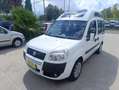 Fiat Doblo Doblò 1.3MJ  TRASPORTO DISABILE - thumbnail 1