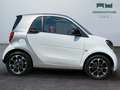 smart forTwo III 2015 - Fortwo 1.0 Passion 71cv twinamic Bianco - thumbnail 4