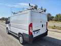 Fiat Ducato 30 2.3 MJT 120CV PC-TN OFFICINA MOBILE Weiß - thumbnail 12