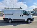 Fiat Ducato 30 2.3 MJT 120CV PC-TN OFFICINA MOBILE Weiß - thumbnail 6