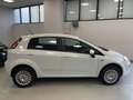 Fiat Punto Evo 5p 1.4 natural power Emotion 70cv Wit - thumbnail 9