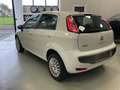 Fiat Punto Evo 5p 1.4 natural power Emotion 70cv Wit - thumbnail 5