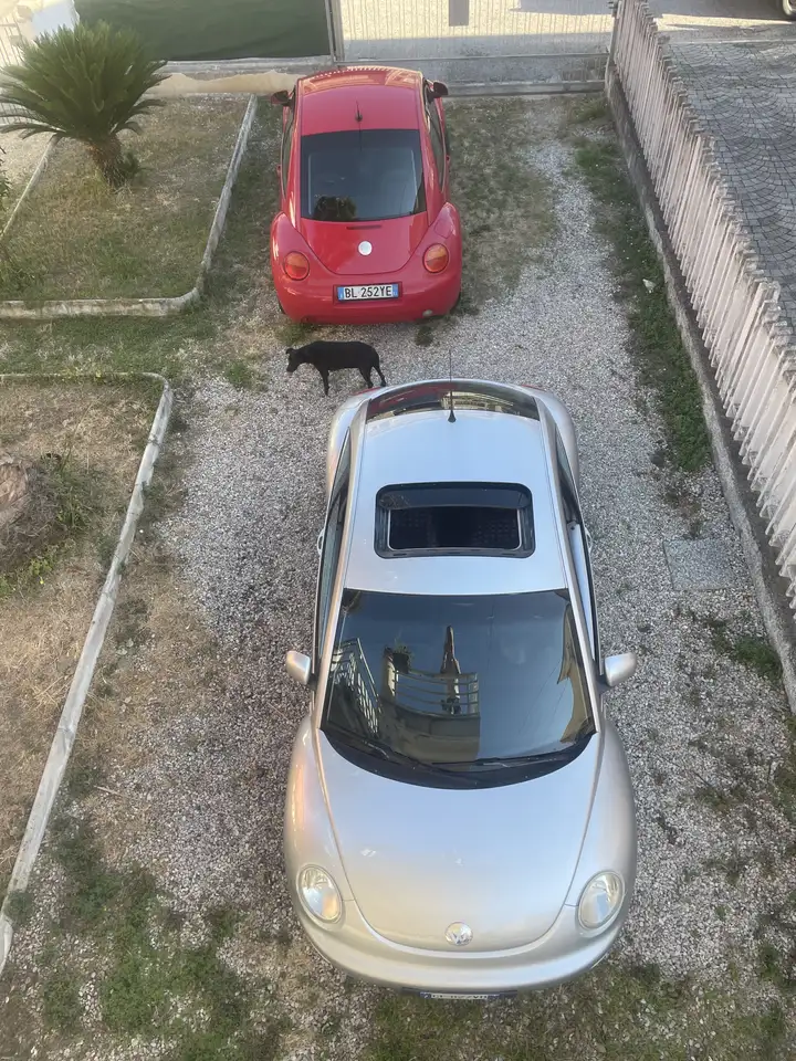 Volkswagen New Beetle 1.9 Tdi 90 cv, foto 2