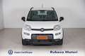 Fiat Panda 1.0 Firefly Hybrid City Life S&S 70CV Weiß - thumbnail 2