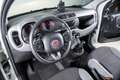 Fiat Panda 1.0 Firefly Hybrid City Life S&S 70CV Weiß - thumbnail 15