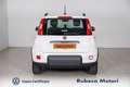 Fiat Panda 1.0 Firefly Hybrid City Life S&S 70CV Weiß - thumbnail 5