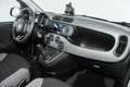 Fiat Panda 1.0 Firefly Hybrid City Life S&S 70CV Weiß - thumbnail 12