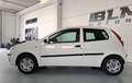 Fiat Punto Punto 3p 1.2 Dynamic Bianco - thumbnail 6
