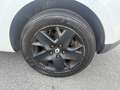 Renault Megane 1.4 tce Luxe 130cv*EURO5A* Bianco - thumbnail 12
