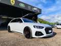 Audi RS4 RS4 Avant 2.9 tfsi quattro 450cv tiptronic Bianco - thumbnail 7