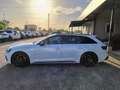 Audi RS4 RS4 Avant 2.9 tfsi quattro 450cv tiptronic Bianco - thumbnail 2