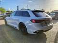 Audi RS4 RS4 Avant 2.9 tfsi quattro 450cv tiptronic Bianco - thumbnail 3