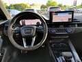 Audi RS4 RS4 Avant 2.9 tfsi quattro 450cv tiptronic Blanc - thumbnail 28