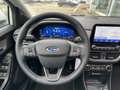 Ford Puma Titanium X 1,0 l EcoBoost MHEV 155 PS Weiß - thumbnail 9