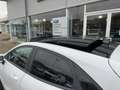 Ford Puma Titanium X 1,0 l EcoBoost MHEV 155 PS Weiß - thumbnail 7