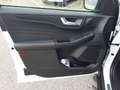 Ford Kuga 2.5 PHEV ST-Line X Sitzheizung LED Headup Wit - thumbnail 11
