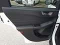 Ford Kuga 2.5 PHEV ST-Line X Sitzheizung LED Headup Wit - thumbnail 28