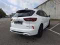 Ford Kuga 2.5 PHEV ST-Line X Sitzheizung LED Headup Wit - thumbnail 3