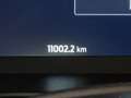 Ford Focus 1.0 ecoboost h ST-Line X s&s 155cv my20.75 Bianco - thumbnail 31
