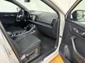 Skoda Karoq 2,0 TDI Sportline DSG Aut. Grau - thumbnail 8