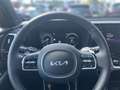 Kia Sorento 1.6 T-GDI Platinum AWD PHEV Glasdach Grau - thumbnail 14