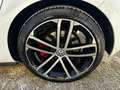 Volkswagen Golf Golf 7 5p 2.0 tdi Gtd Dsg Bianco - thumbnail 12