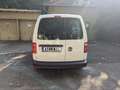 Volkswagen Caddy Caddy 1.2 TSI Kastenwagen Weiß - thumbnail 5