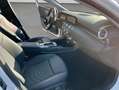 Mercedes-Benz A 180 A-Klasse Bianco - thumbnail 19