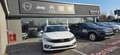 Fiat Tipo Tipo 4 porte II 2021 4p 1.6 mjt City s Bianco - thumbnail 2