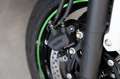 Kawasaki Ninja 7 Hybrid sofort lieferbar, Lieferservice Plateado - thumbnail 31