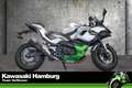 Kawasaki Ninja 7 Hybrid sofort lieferbar, Lieferservice Plateado - thumbnail 1