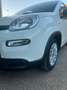 Fiat Panda Panda III 2021 1.0 firefly hybrid s Blanc - thumbnail 15