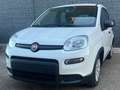 Fiat Panda Panda III 2021 1.0 firefly hybrid s Blanc - thumbnail 5